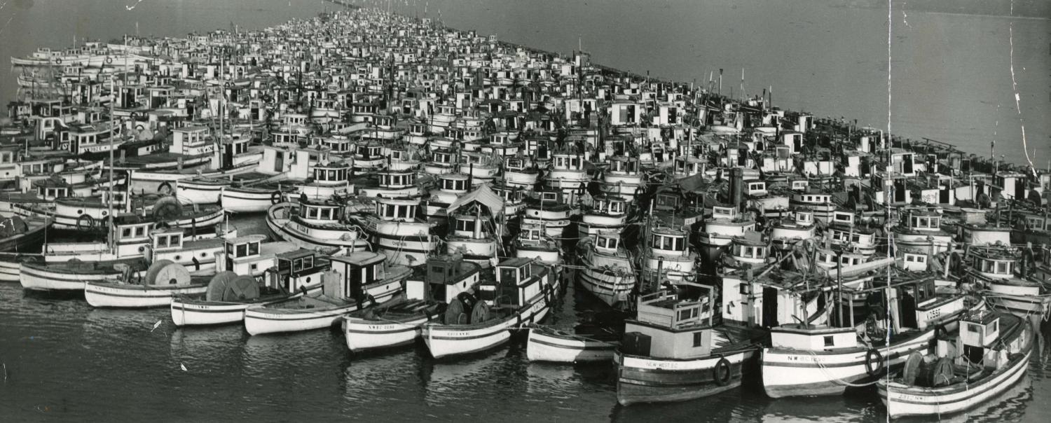 Japanese-Canadian fishing boats are tied up at Annacis Island, along the Fraser River in Vancouver, in 1942 during World War II.