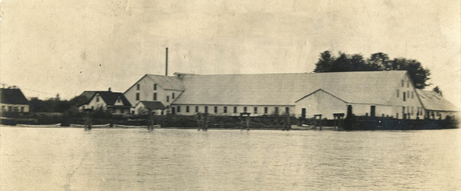 Black and white photo of Deas Island cannery circa 1920s.