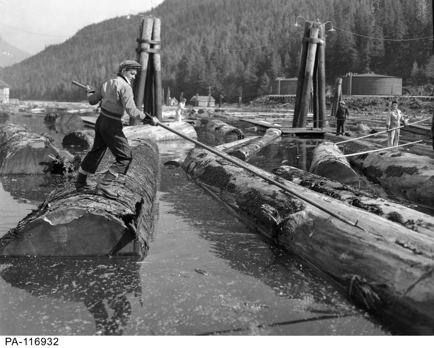 Woman lumber worker peavying logs