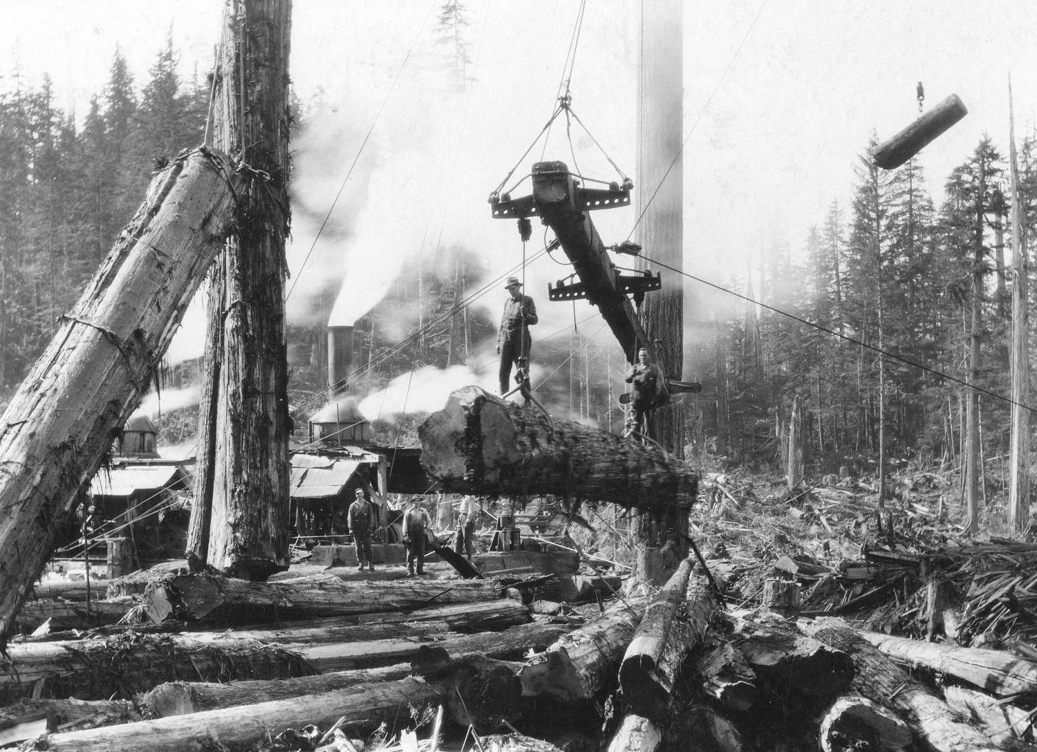 Stillwater logging camp, men moving logs/logs in air, 1924.