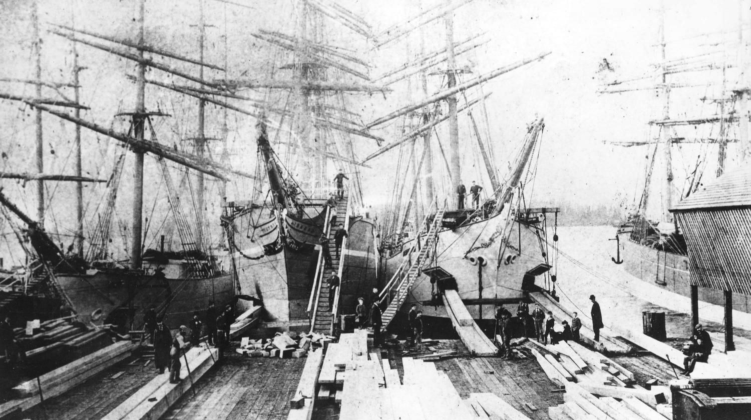 Multiple lumber ships (tall ships) loading at Hastings Sawmill, 1890.