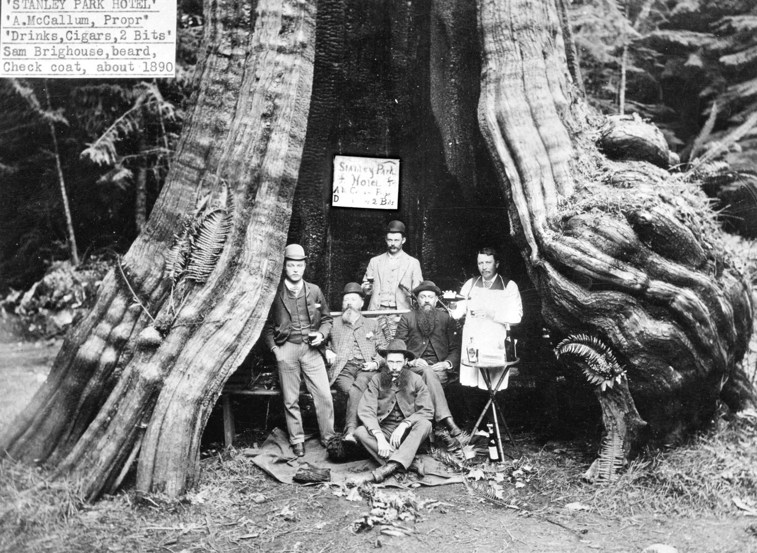 Men posing for a silly photo in the “Stanley Park Hotel,”  otherwise known as Stanley Park’s famous Hollow Tree.