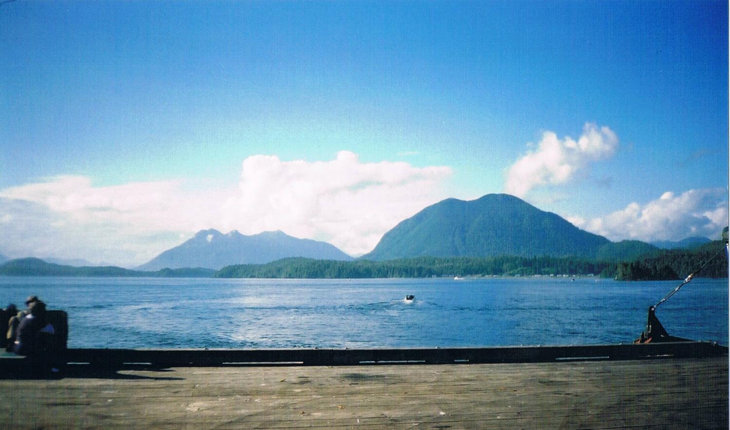 Meares Island from Tofino