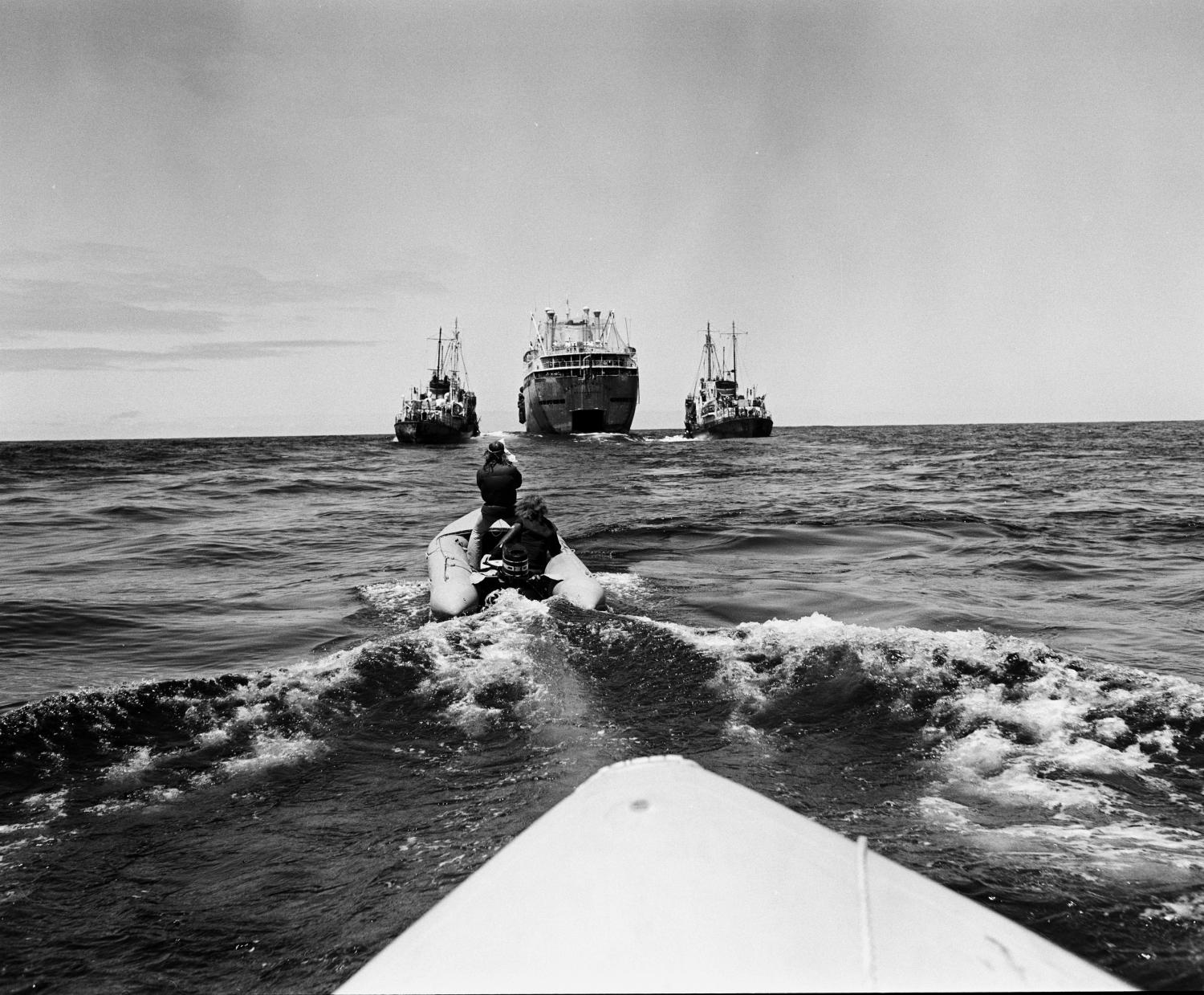 Greenpeace confront Soviet whaling ships in 1975.