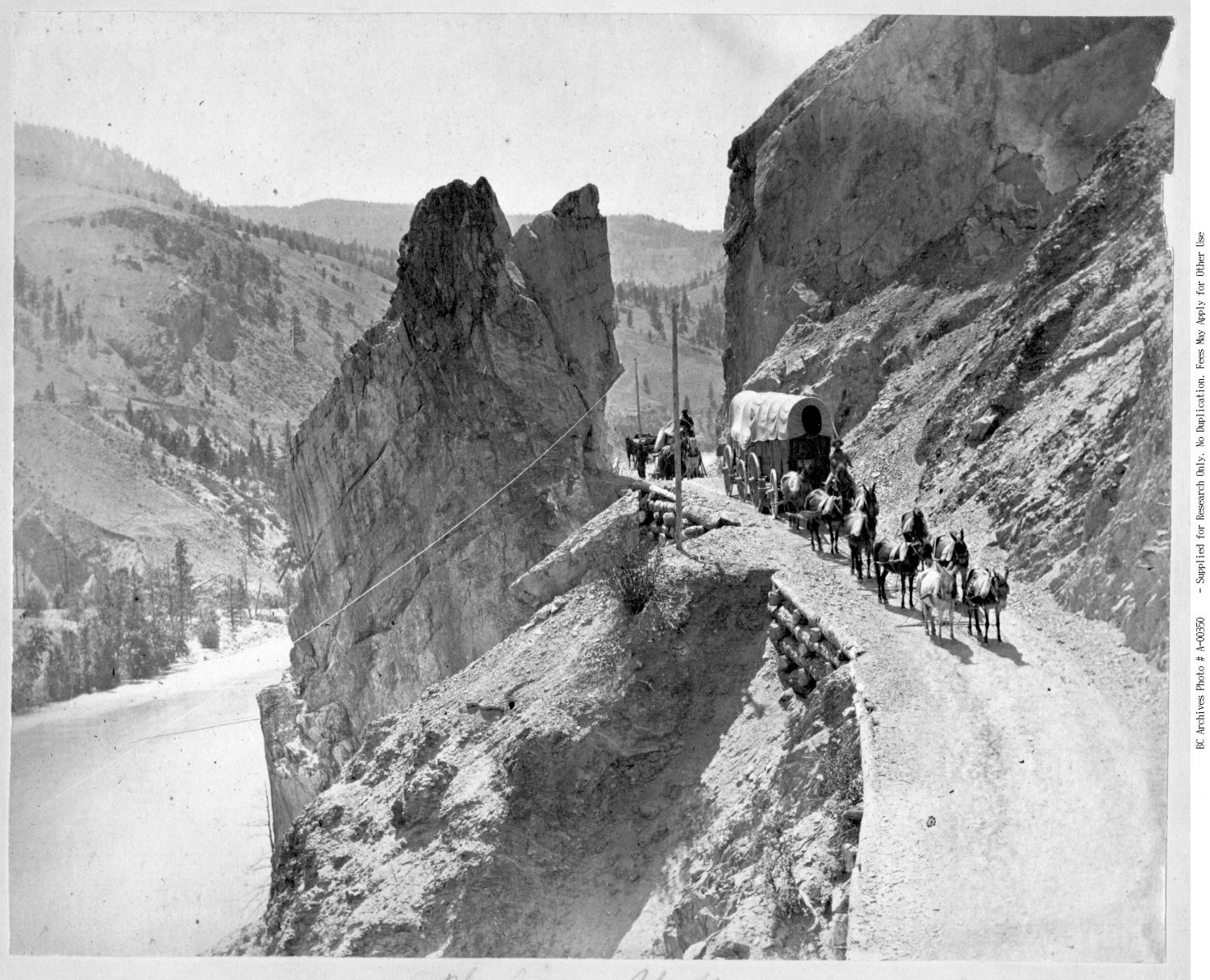 A freight wagon rounds a bend on the Cariboo Wagon Road, near the 80 mile post, on the Thompson River.