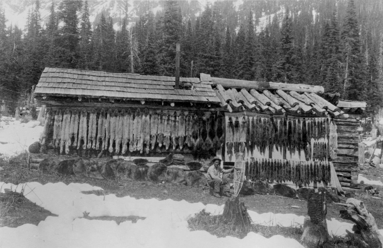 Dozens of pelts hang on the side of a wooden building.