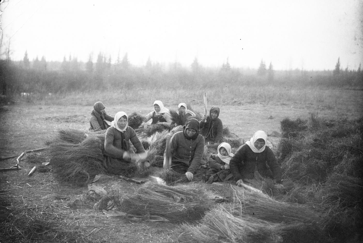 Doukhobor women threshing flax in western Canada