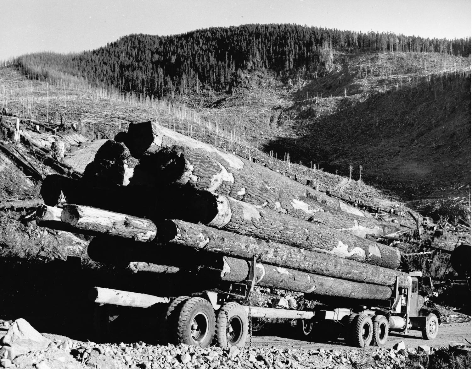 Loaded logging truck in front of a clear cut forest
